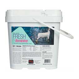 Fresh & Feminine for Show Lambs  Sullivan Supply